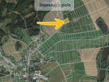 Oselce 5.jpg
