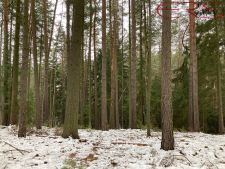 Prodej lesa, 162122m<sup>2</sup>, Plužná, 6.484.880,- Kč