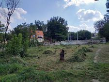 Foto_8