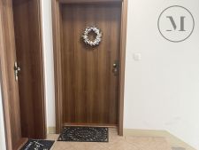 IMG_4286.jpeg
