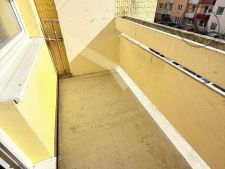 IMG_4391.jpeg