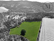 DJI_0667_colored.JPG