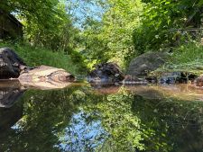 DJI_20250618_102335_782