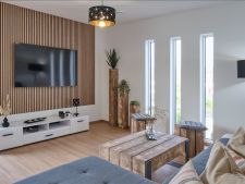 obývací pokoj s přirozené světlo, televize, a dřev