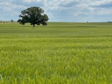 1750674561-pacluxnnjo-img-2160