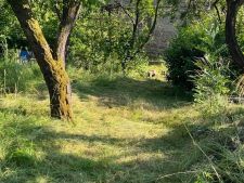 1750483549-qlgvqlgjbt-img-3368