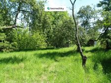 1750144799-ynjfjwpdau-p1010952