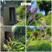1750357857-tiibyvdsvb-img-0529