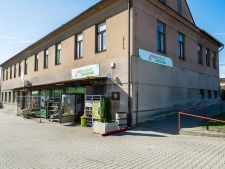 20241017-_DSC4615