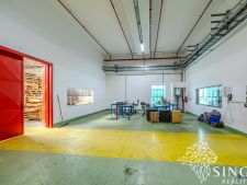 Vojte?îch Vajda_profifoto-041