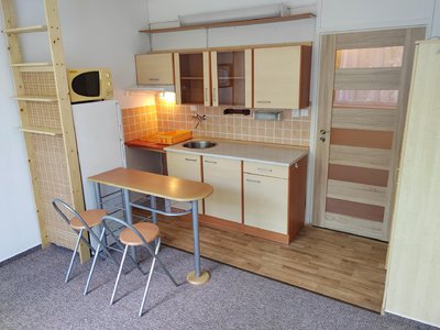 Pronájem bytu 1+kk, garsoniery 21 m² České Budějovice