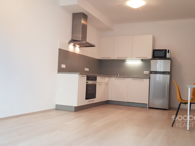 Pronájem bytu 2+kk 57 m² Praha
