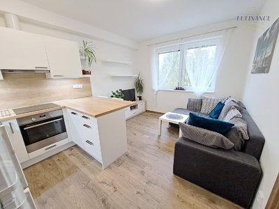 Pronájem bytu 2+kk, 48m²