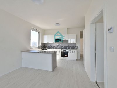 Pronájem bytu 3+kk 90 m² České Budějovice