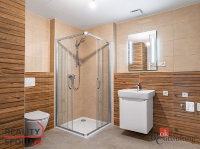 Prodej bytu 1+kk, garsoniery 57 m² Plzeň