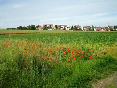 Prodej stavební parcely, 43863m²