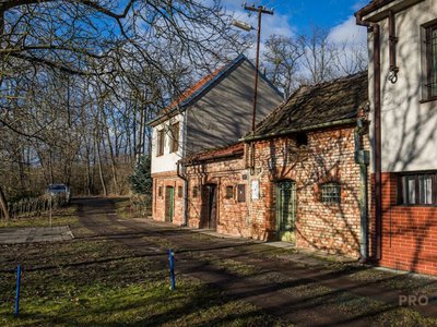 Prodej vinného sklepa, 45m²