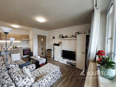 Pronájem bytu 1+1 35 m² Meziboří