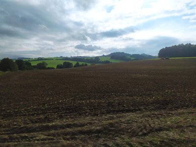 Prodej zemědělské půdy 11020 m² Police