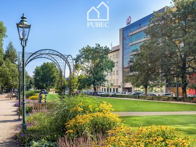 Pronájem kanceláře 295 m² Plzeň