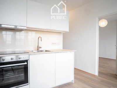 Pronájem bytu 1+1 39 m² Plzeň