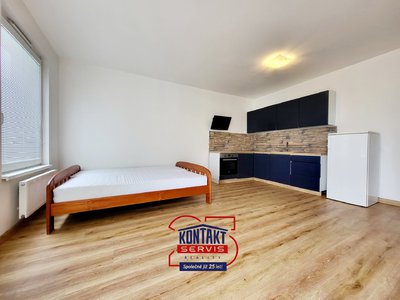 Pronájem bytu 1+kk, garsoniery 46 m² České Budějovice
