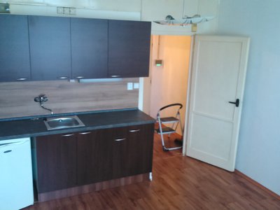 Pronájem bytu 1+kk, garsoniery 22 m² České Budějovice