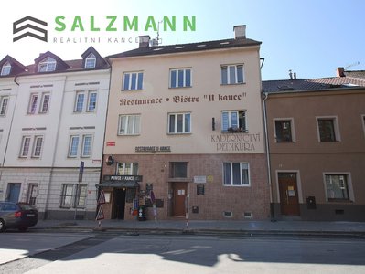 Pronájem bytu 1+1 50 m² Plzeň