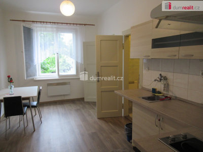 Pronájem bytu 1+1 55 m² Praha