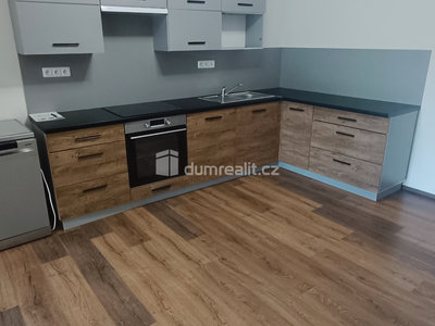 Pronájem bytu 2+kk 65 m² Ústí nad Labem