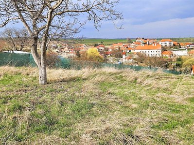 Prodej stavební parcely 2316 m² Tvořihráz