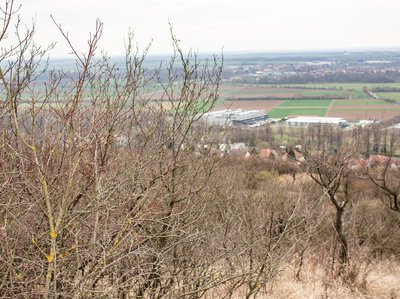 Prodej zemědělské půdy 4860 m² Židlochovice