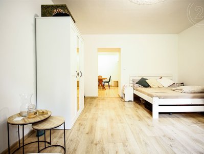 Pronájem bytu 1+1 40 m² Brno