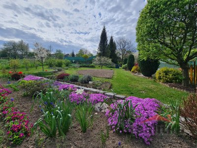 Prodej zahrady 728 m² Opava