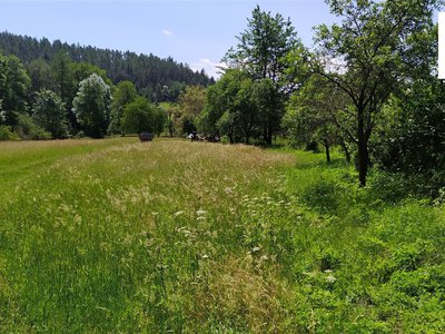 Prodej ostatních pozemků, 1734m²