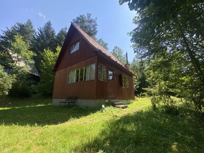 Prodej chaty 70 m² Borovnice