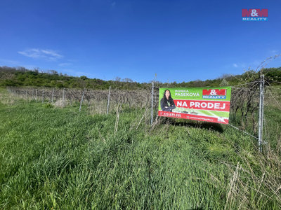 Prodej zemědělské půdy, 9215m²