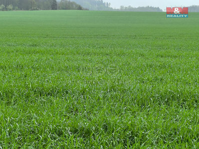 Prodej zemědělské půdy, 2013m²
