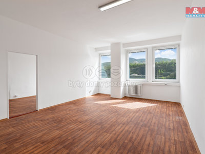 Pronájem kanceláře 43 m² Ústí nad Labem