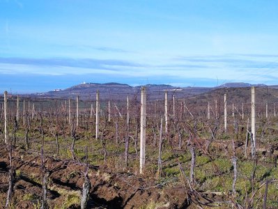 Pronájem ostatních pozemků, 10000m²