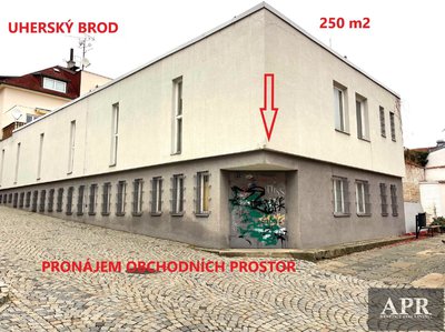 Pronájem obchodu, 250m²