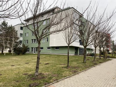 Pronájem bytu 2+kk 30 m² Hradec Králové