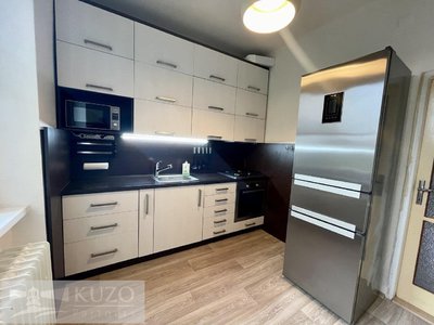 Pronájem bytu 1+1 40 m² Praha