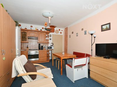 Prodej bytu 1+1 45 m² Brno