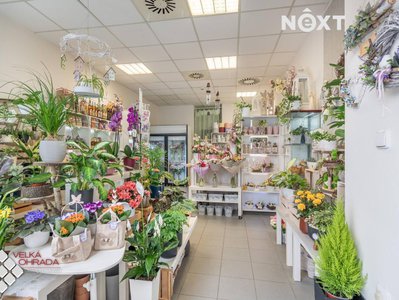 Pronájem obchodu 25 m² Praha
