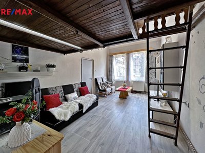 Prodej bytu 2+1 55 m² České Budějovice