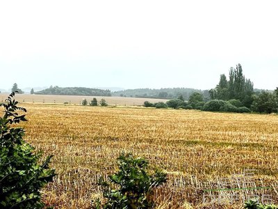 Prodej ostatních pozemků 4683 m² Klenčí pod Čerchovem