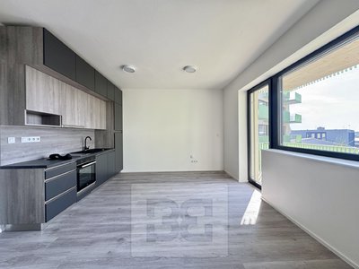 Pronájem bytu 1+kk, garsoniery 35 m² Znojmo