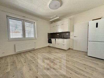 Pronájem bytu 1+kk, garsoniery 30 m² Brno