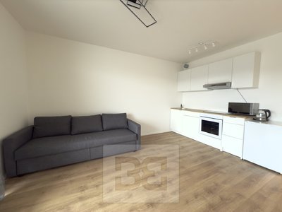 Pronájem bytu 1+kk, garsoniery 30 m² Beroun